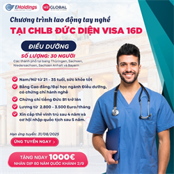 LAO ĐỘNG CHUYỂN ĐỔI BẰNG TẠI ĐỨC